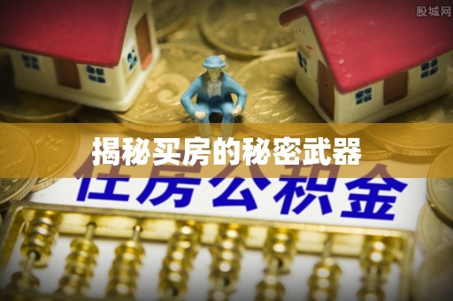 黄州揭秘买房的秘密武器