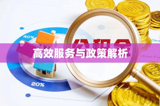 黄州高效服务与政策解析