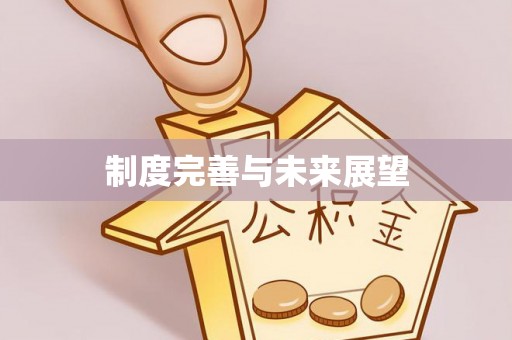 黄州制度完善与未来展望