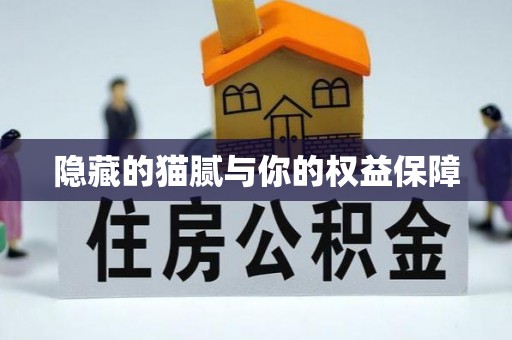 黄州隐藏的猫腻与你的权益保障