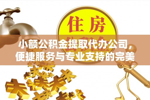 黄州小额公积金提取代办公司，便捷服务与专业支持的完美结合