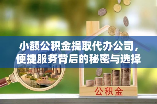 黄州小额公积金提取代办公司，便捷服务背后的秘密与选择指南