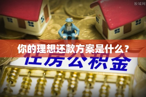 黄州你的理想还款方案是什么？