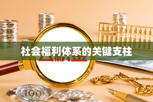 黄州社会福利体系的关键支柱