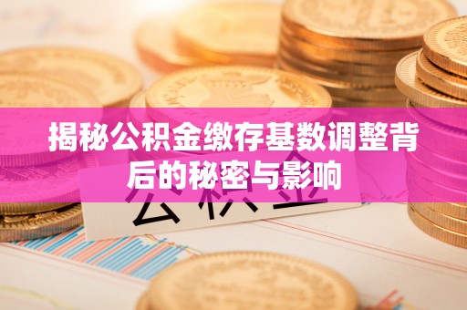 黄州揭秘公积金缴存基数调整背后的秘密与影响