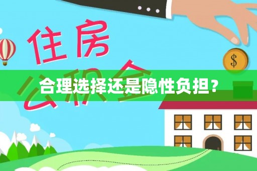 黄州合理选择还是隐性负担？